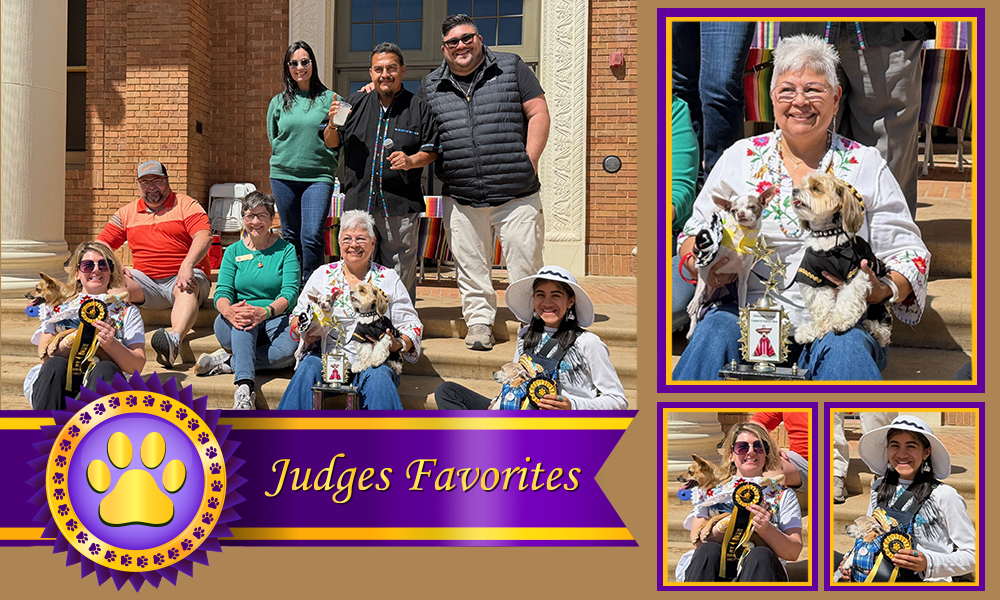 Group photo of the 2026 Pet Chihuahua Costume Contest winners seated on the steps of Atascadero City Hall with their costumed dogs, holding trophies and ribbons, with the event MC and judges sitting and standing behind them.